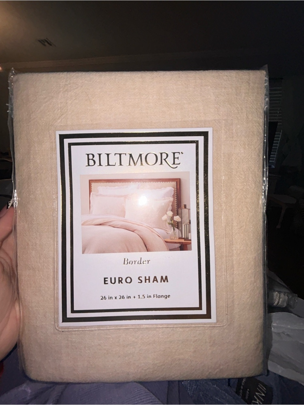 Blitmore Cream Euro Sham